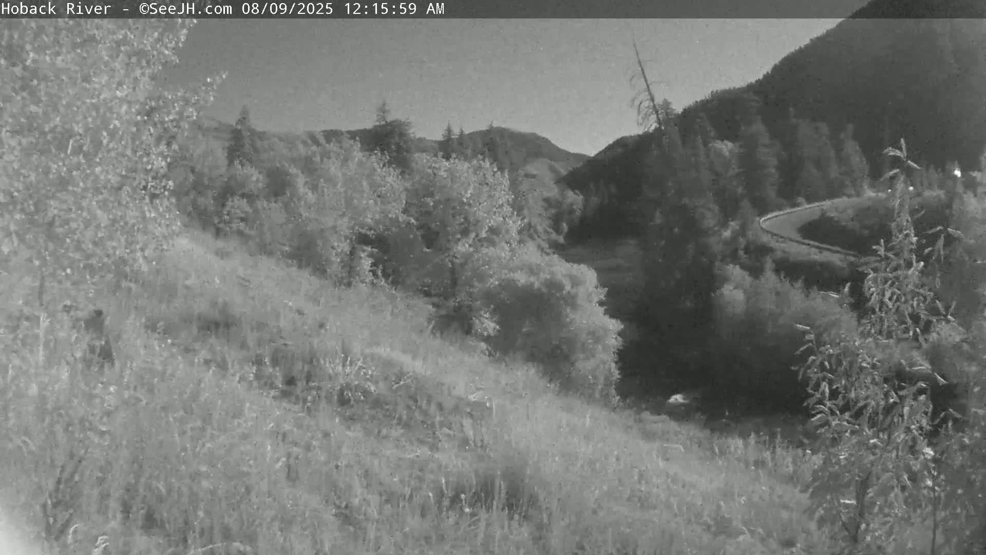Hoback River  Live Cam  - Hoback, Teton, Wyoming, USA