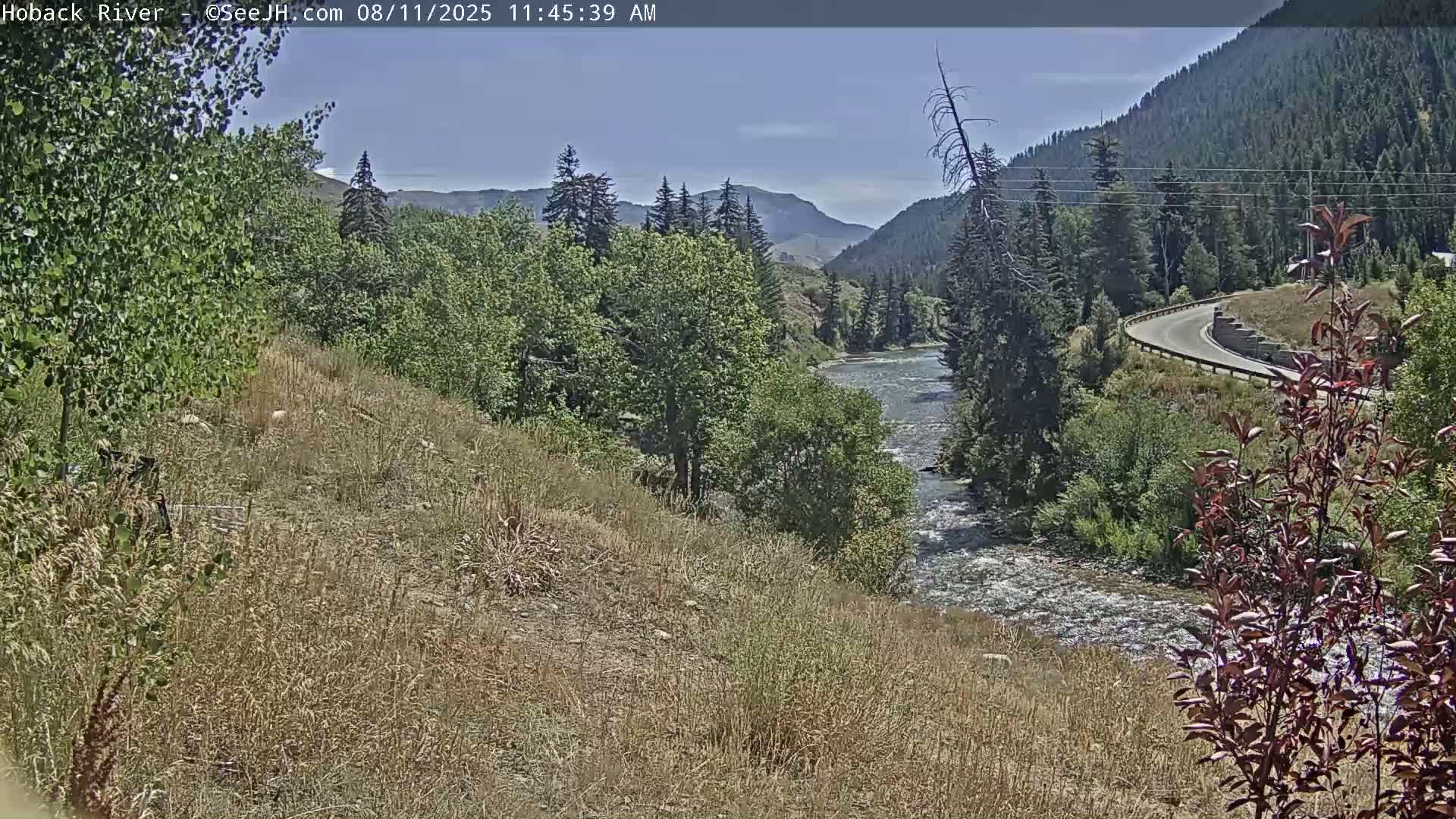 Hoback River  Live Cam  - Hoback, Teton, Wyoming, USA