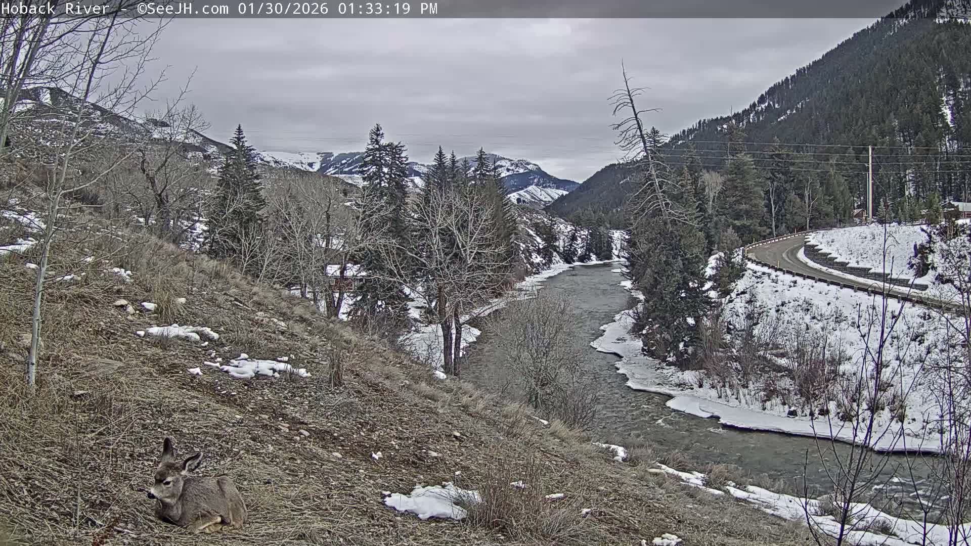 Hoback River  Live Cam  - Hoback, Teton, Wyoming, USA