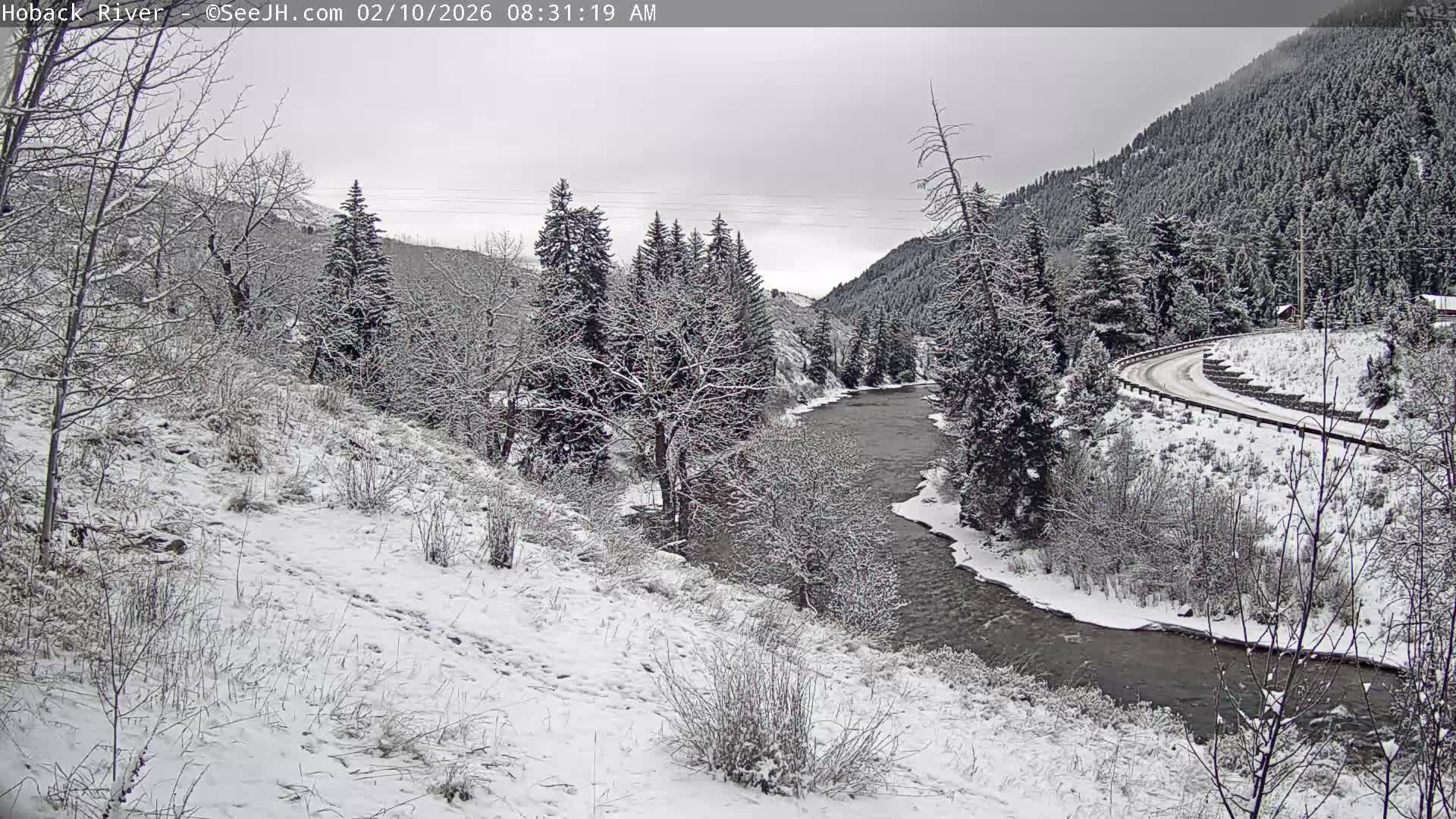 Hoback River  Live Cam  - Hoback, Teton, Wyoming, USA