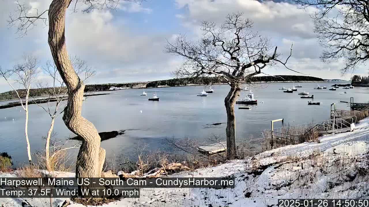 A snow-dusted shoreline with bare trees overlooks a calm bay where several boats are moored, under a partly cloudy sky.