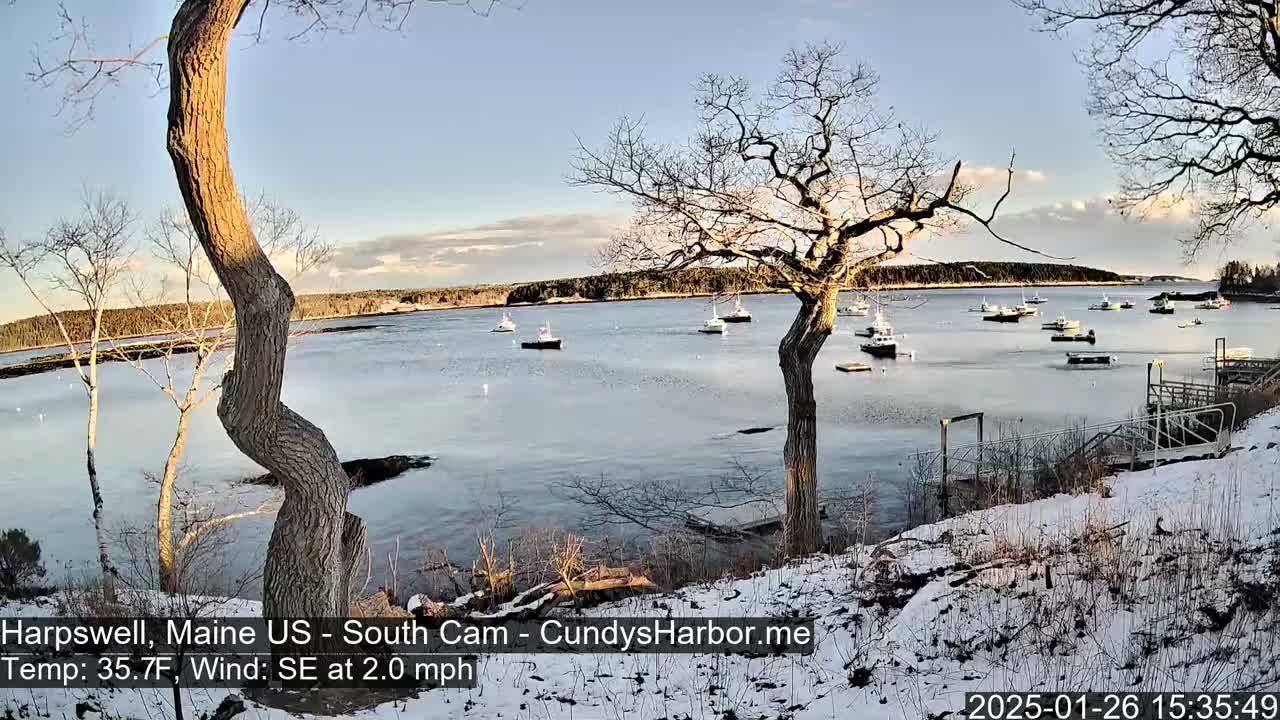 Here is a description of the image: A snow-dusted shoreline with leafless trees overlooks a calm bay where several small boats are moored under a partly cloudy sky.
