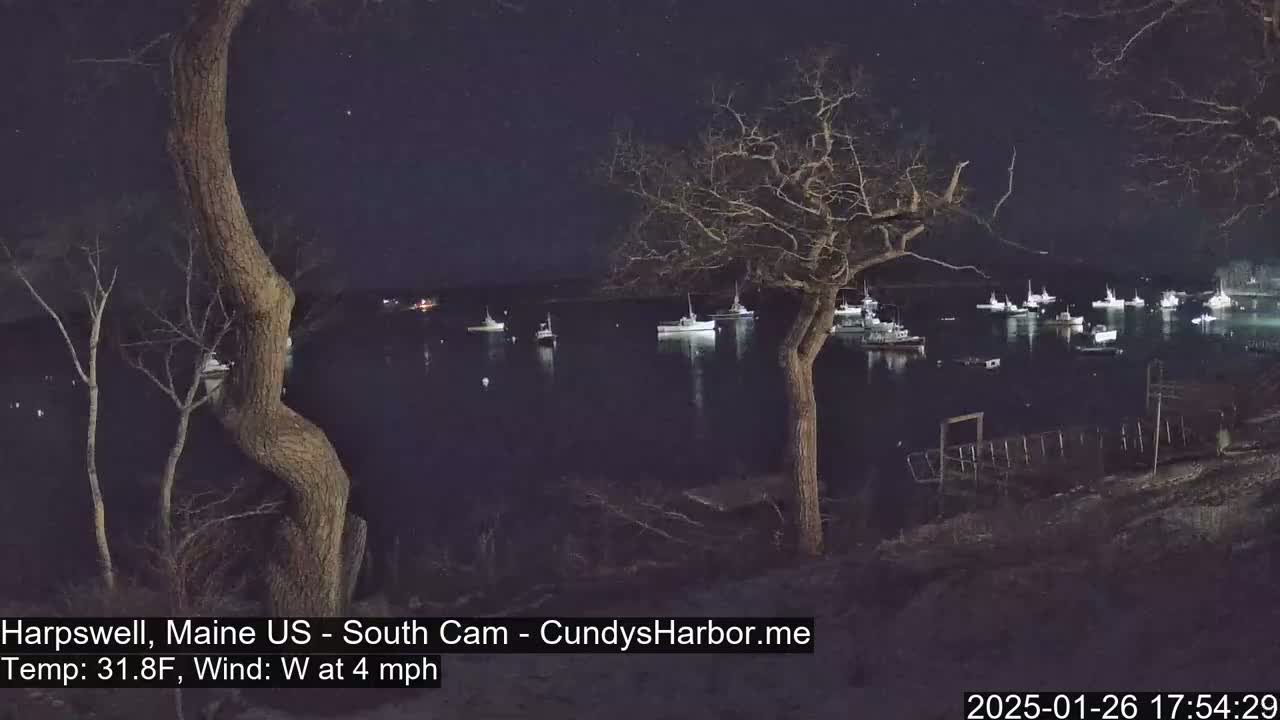 Under a clear, starry night sky, several boats are moored in a calm harbor, viewed from a shoreline with bare trees.