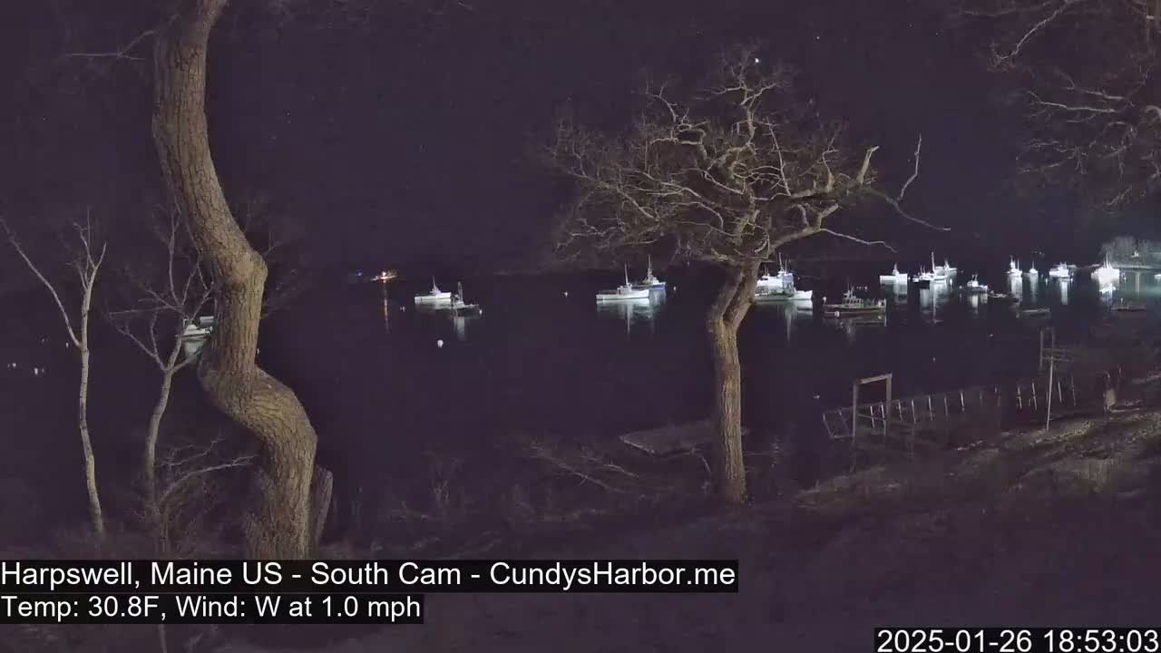 At night, under a clear sky, a calm body of water is dotted with numerous boats, viewed from a shoreline with bare trees in the foreground.