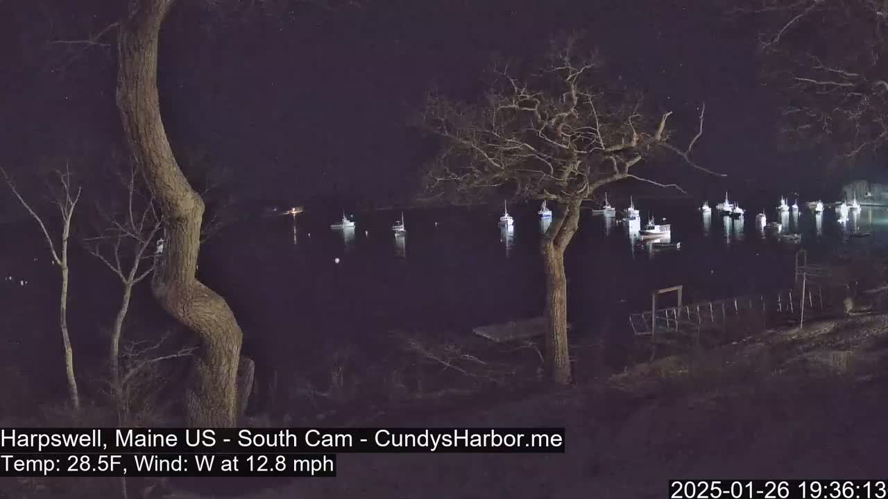 At night, under a clear sky with a west wind of 12.8 mph and a temperature of 28.5°F, several boats are moored in a calm body of water, observed from a shoreline with bare trees.