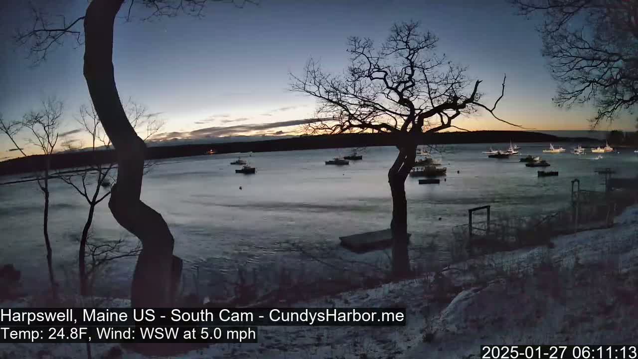 Here is a description of the image: Several small boats are moored in a calm bay at dusk under a mostly clear sky, with bare, silhouetted trees in the foreground and a light dusting of snow on the ground.