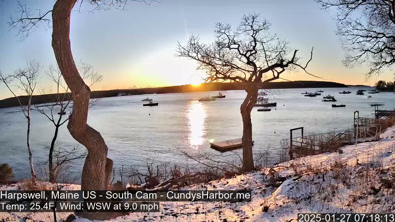 Here's a description of the image: A winter sunset over a calm bay with numerous boats, viewed from a snow-covered shoreline with bare trees in the foreground.