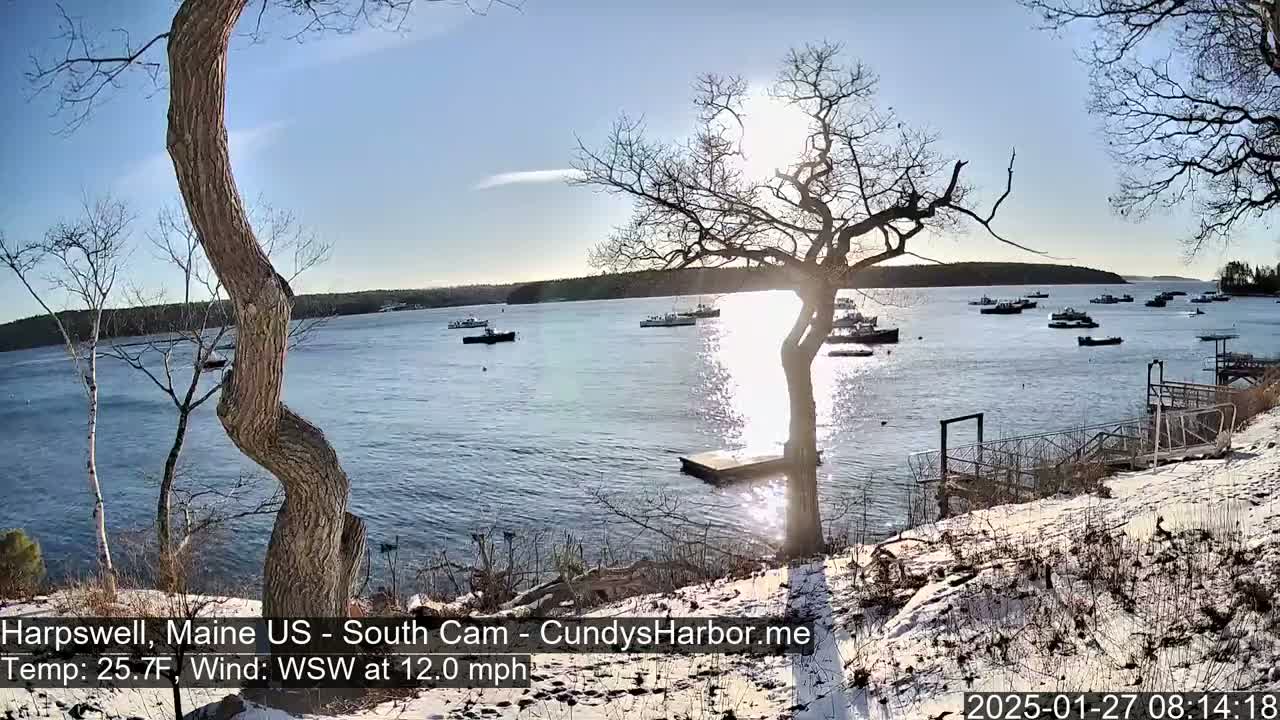 A sunlit harbor scene with numerous boats, viewed from a snow-covered shoreline with a twisted tree in the foreground under a partly sunny sky, with a 12 mph wind.