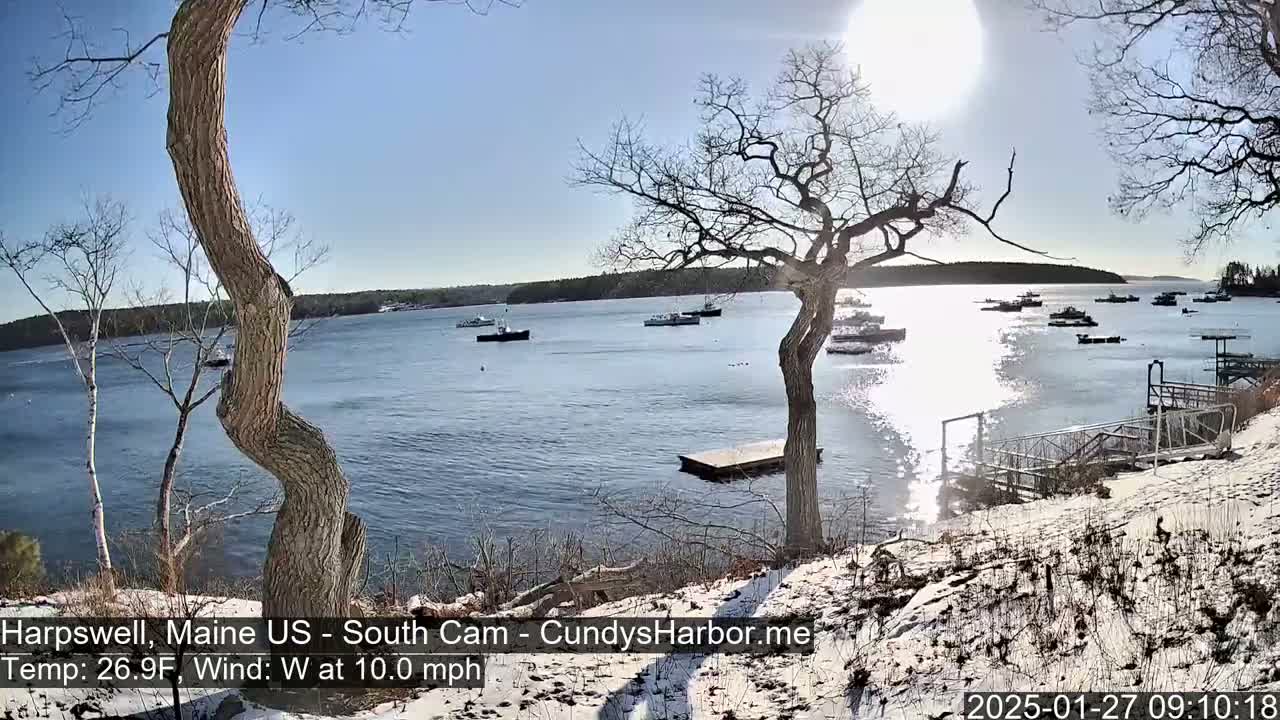 A sunny, slightly windy day shows a snow-dusted shoreline with several boats in a calm bay, observed from a vantage point near a curved tree.