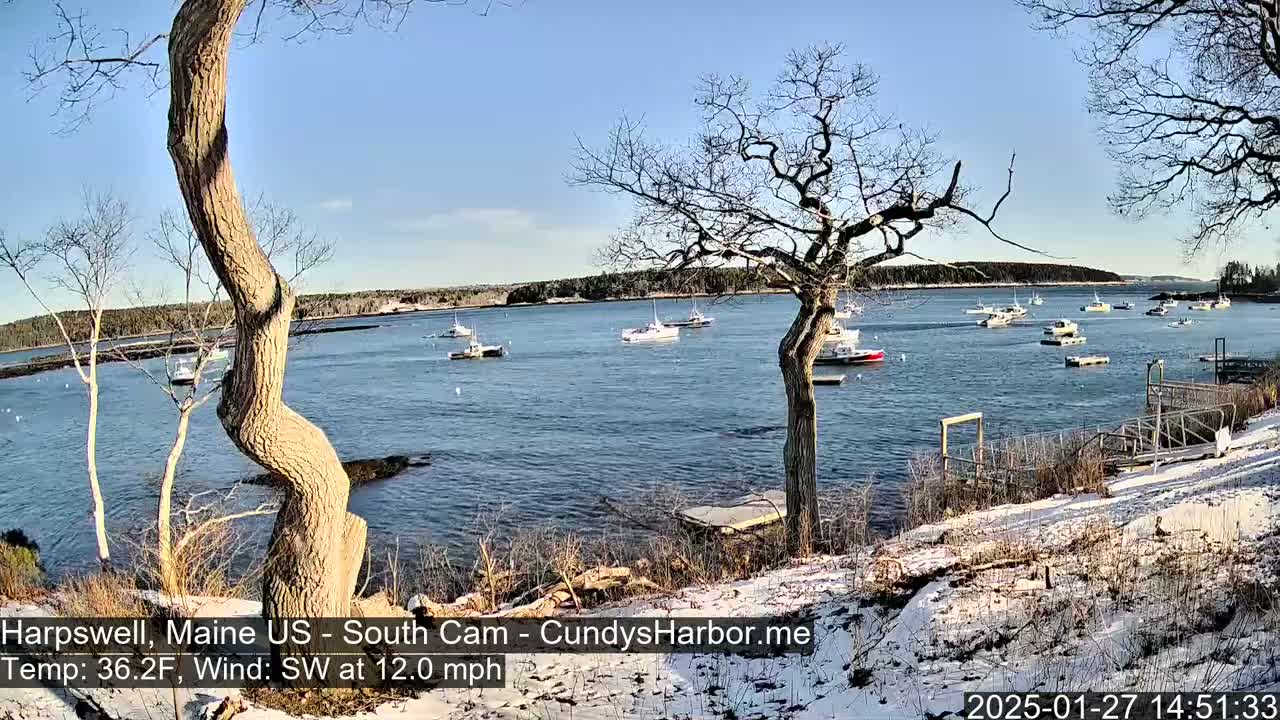 A snow-dusted shoreline with bare trees overlooks a calm bay containing numerous small boats under a clear blue sky.