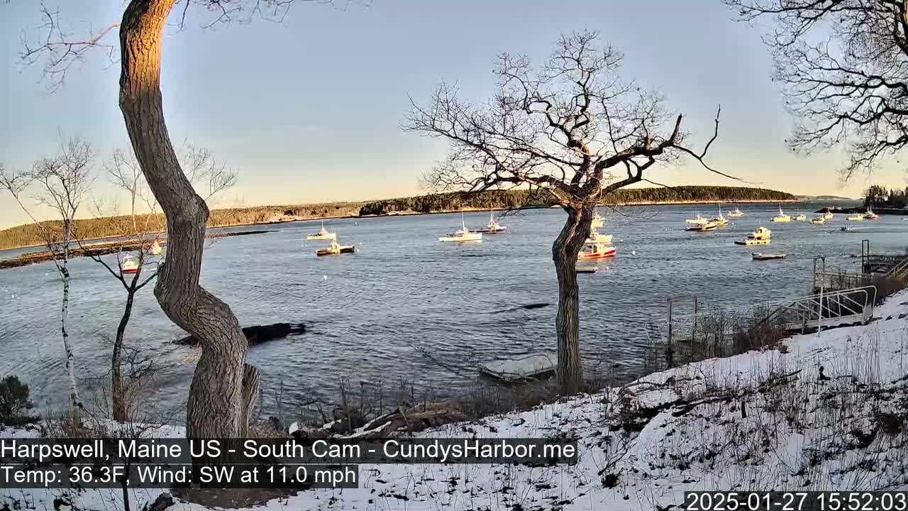 A calm body of water with numerous small boats is viewed from a snow-covered shoreline, under a clear, bright sky.