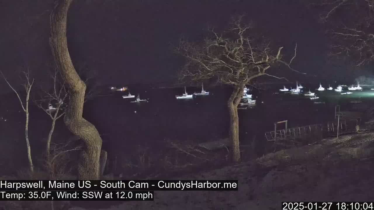 Numerous boats are moored in a dark body of water at night, viewed from a shoreline with bare trees and a temperature of 35°F and a south-southwest wind at 12 mph.