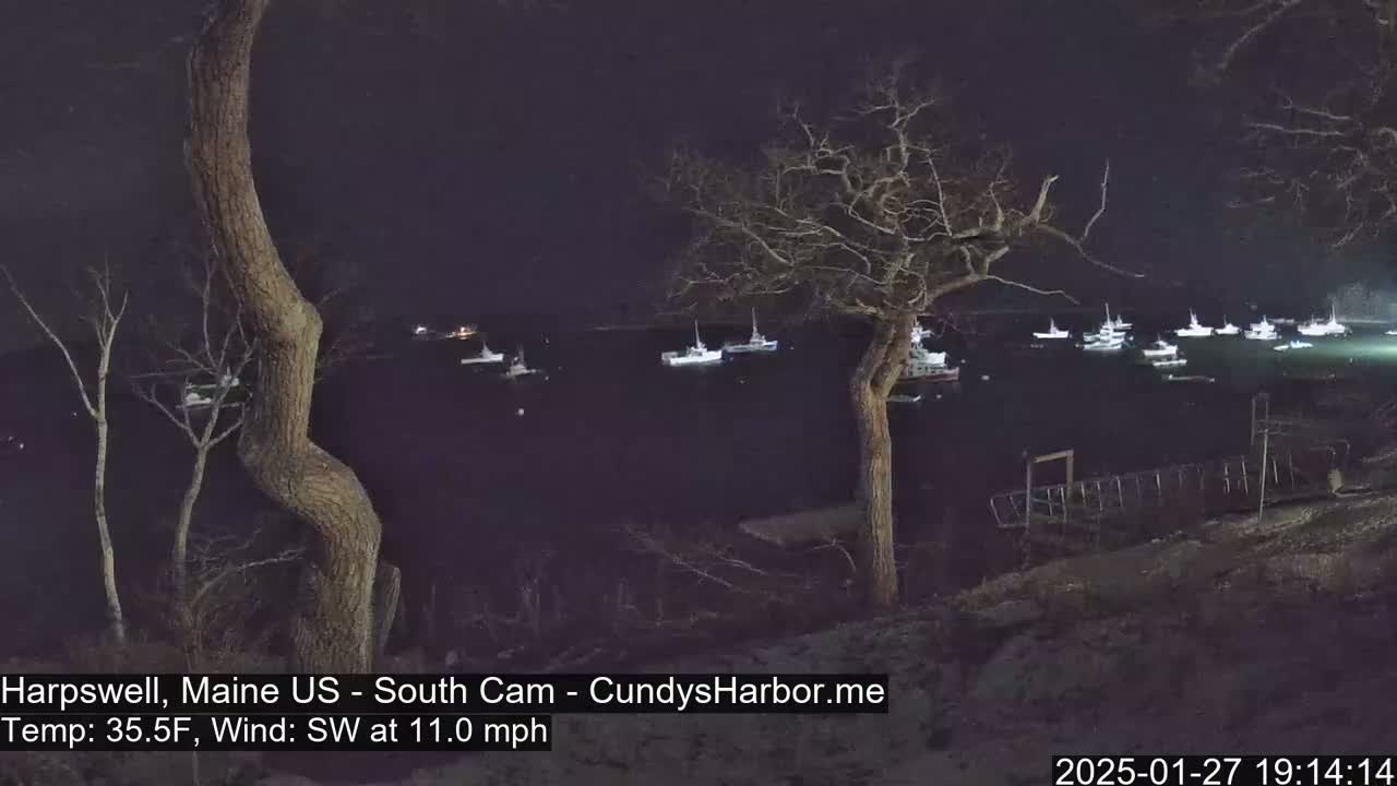 At night, under a dark sky with a southwest wind of 11 mph and a temperature of 35.5°F, numerous boats are moored in a calm body of water, observed from a dark, tree-lined shoreline.