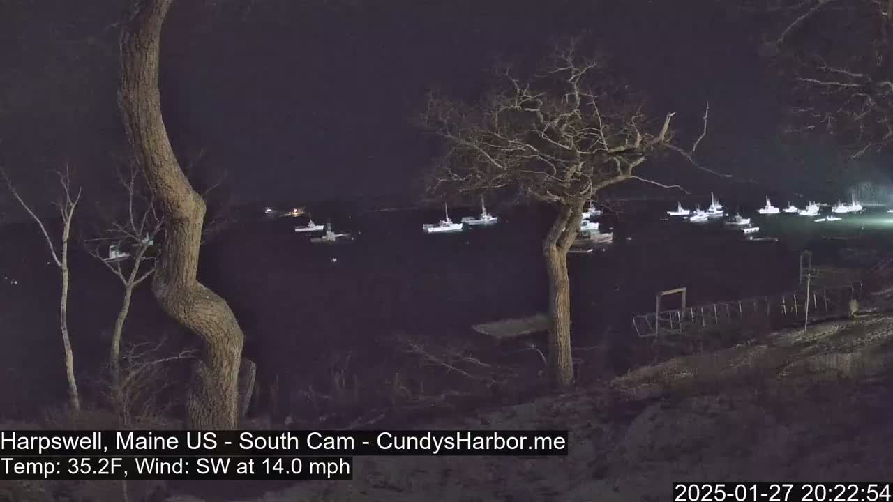 At night, numerous boats are moored in dark water, viewed from a vantage point amongst bare, dark trees under a clear, dark sky with a southwest wind.