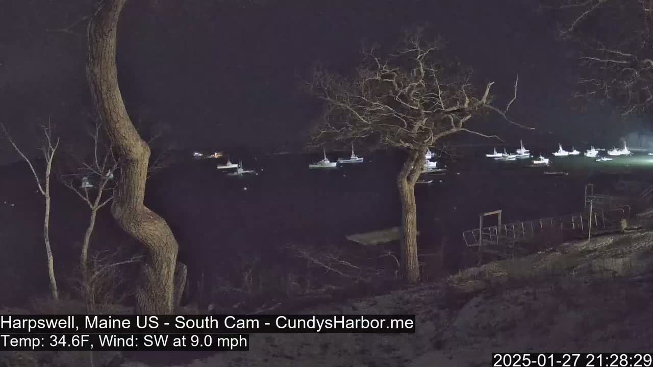 At night, under a dark sky with a southwest wind of 9 mph and a temperature of 34.6°F, numerous boats are moored in a dark body of water, viewed from a land perspective featuring bare trees and brush.