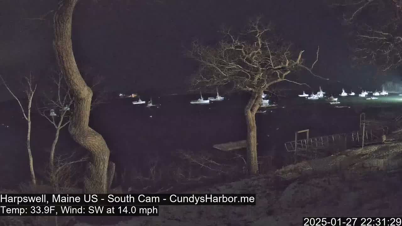 Several boats are moored in a dark body of water at night under a dark sky, viewed from a shoreline with bare trees.