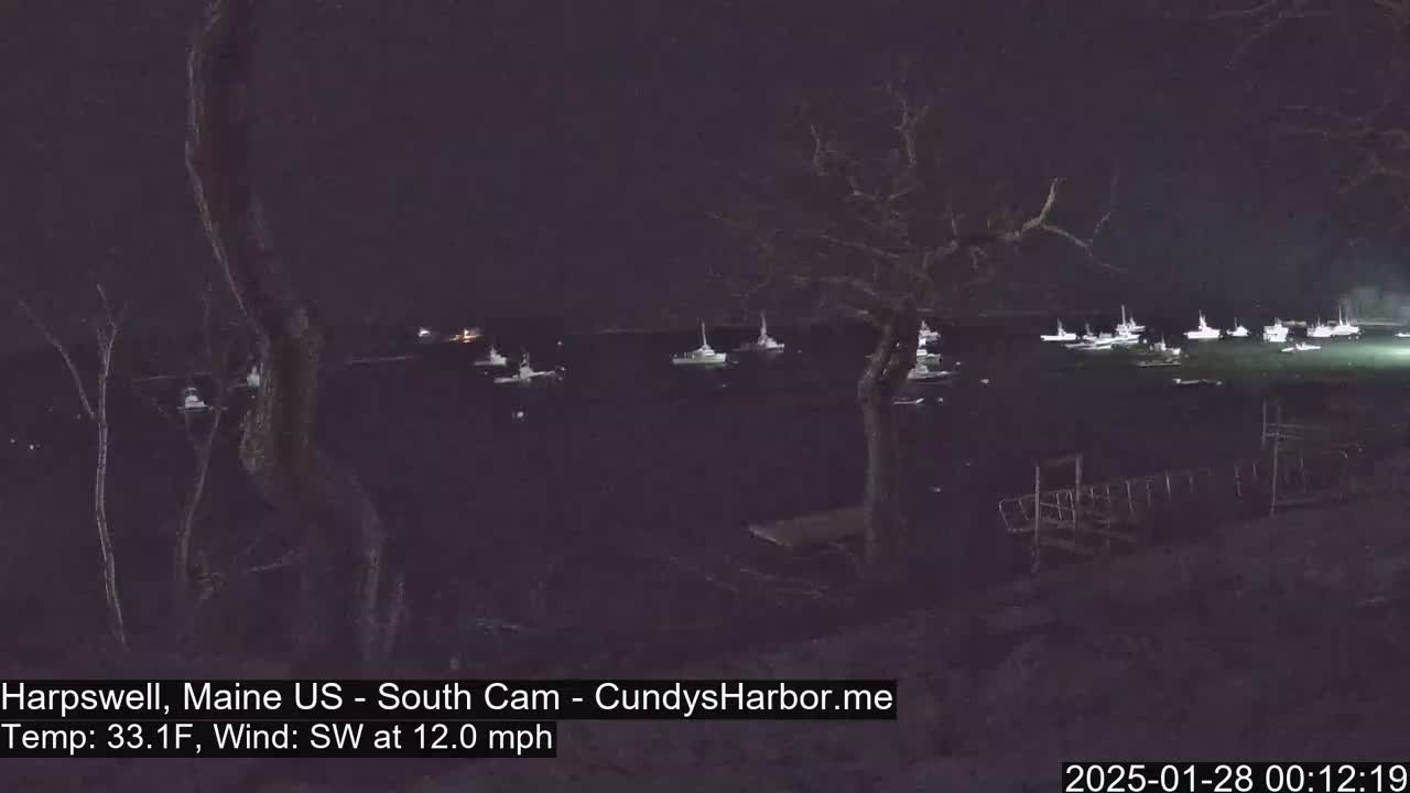 At night, under a dark sky with a southwest wind of 12 mph and a temperature of 33.1°F, numerous boats are moored in a calm body of water, observed from a vantage point near a shoreline with sparse vegetation.