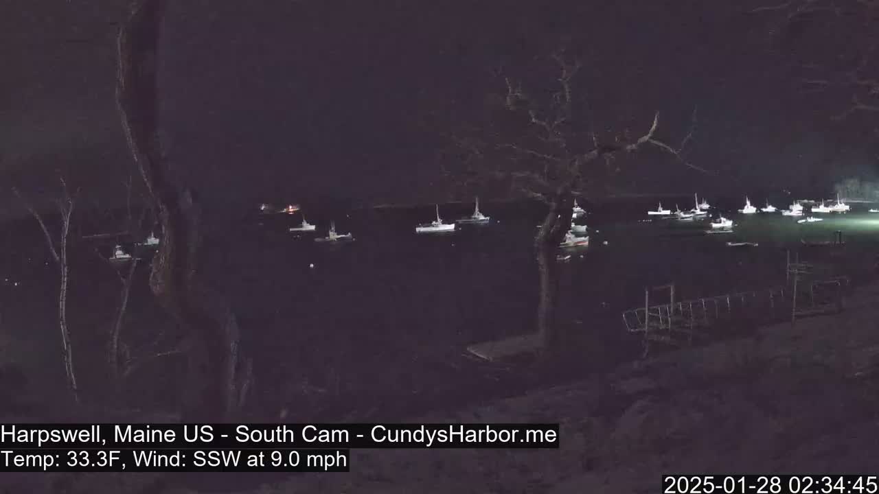 Many boats are moored in a dark harbor at night under a clear sky, with a south-southwesterly wind blowing at 9.0 mph and a temperature of 33.3°F.