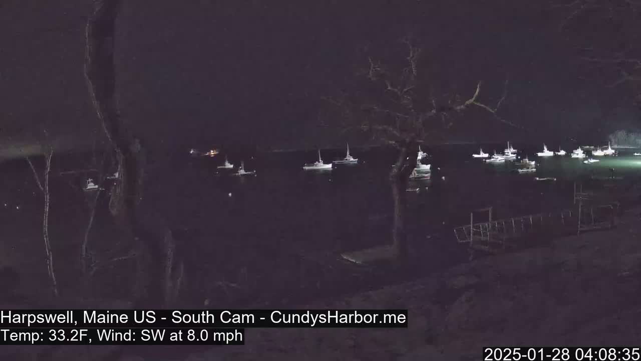 A nighttime view of numerous boats moored in a calm harbor under a dark sky with a southwest wind.