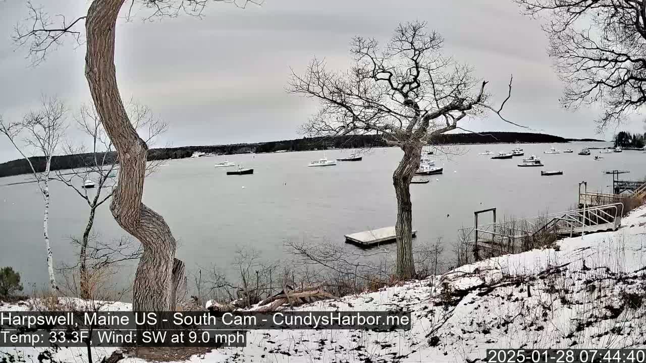 A snow-dusted shoreline with several boats in a calm bay under an overcast sky.