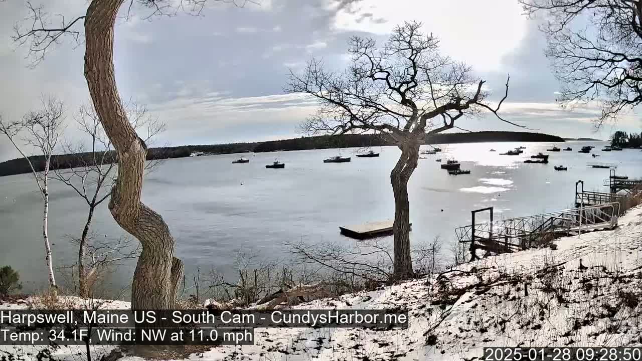 A partially frozen bay with numerous small boats, viewed from a snow-covered shoreline with bare trees under a partly cloudy sky.