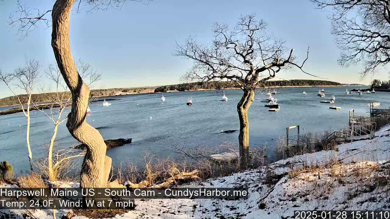 A snow-dusted shoreline with several boats in a calm body of water under a clear blue sky.