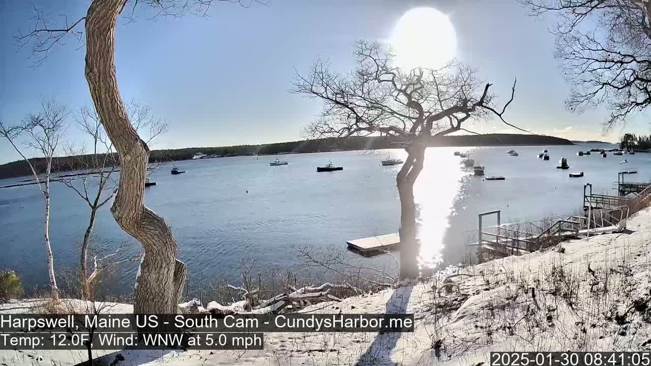 A snow-dusted shoreline with several boats in a calm bay under a bright, sunny sky.