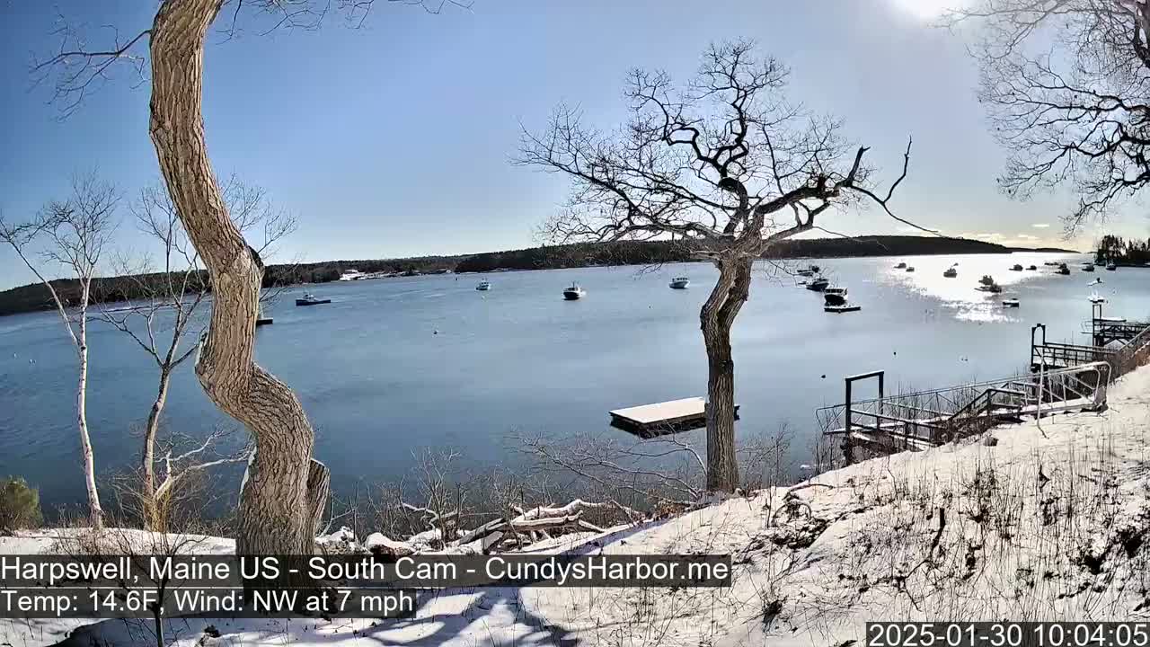 A snow-covered shoreline with leafless trees overlooks a calm bay containing several boats under a sunny sky.