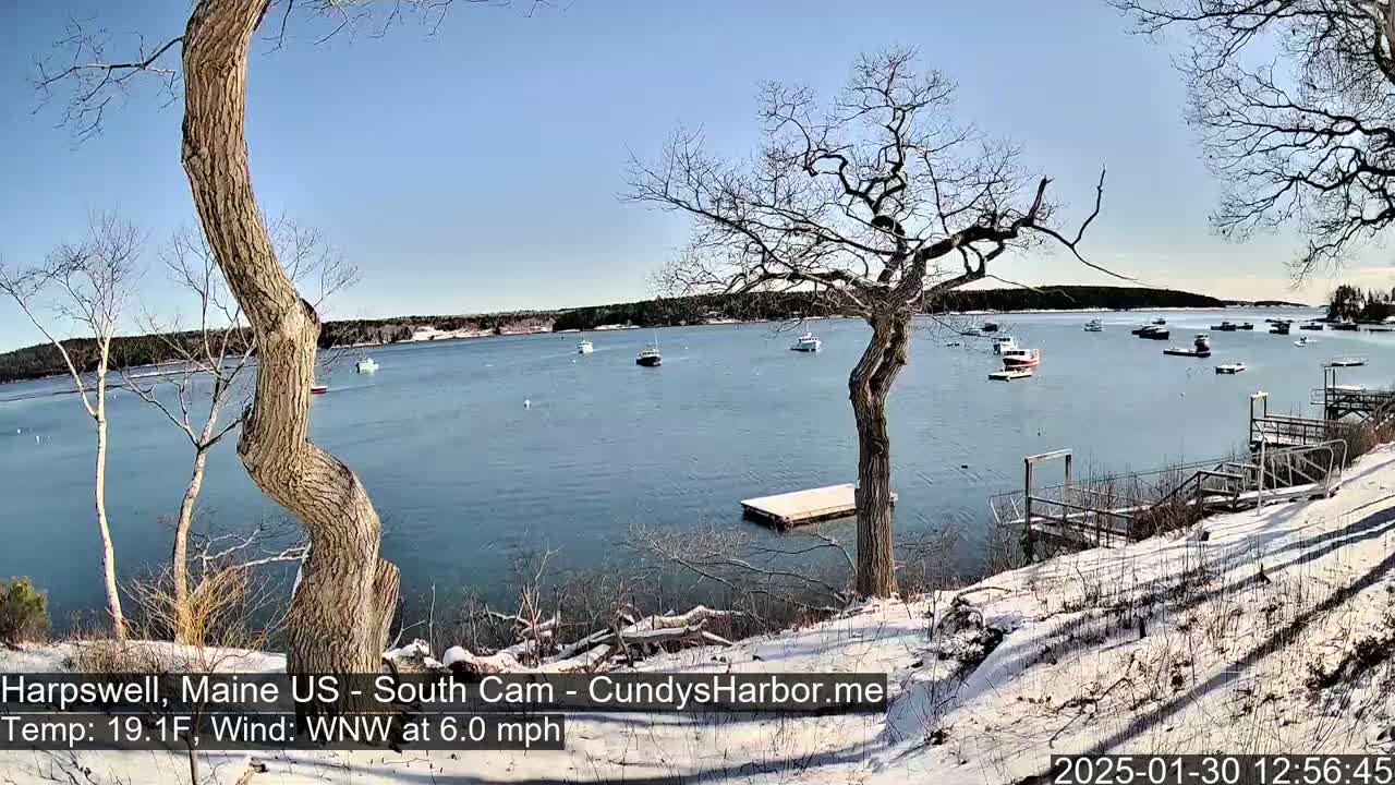 A snow-dusted shoreline overlooks a calm bay with several small boats, under a clear blue sky.