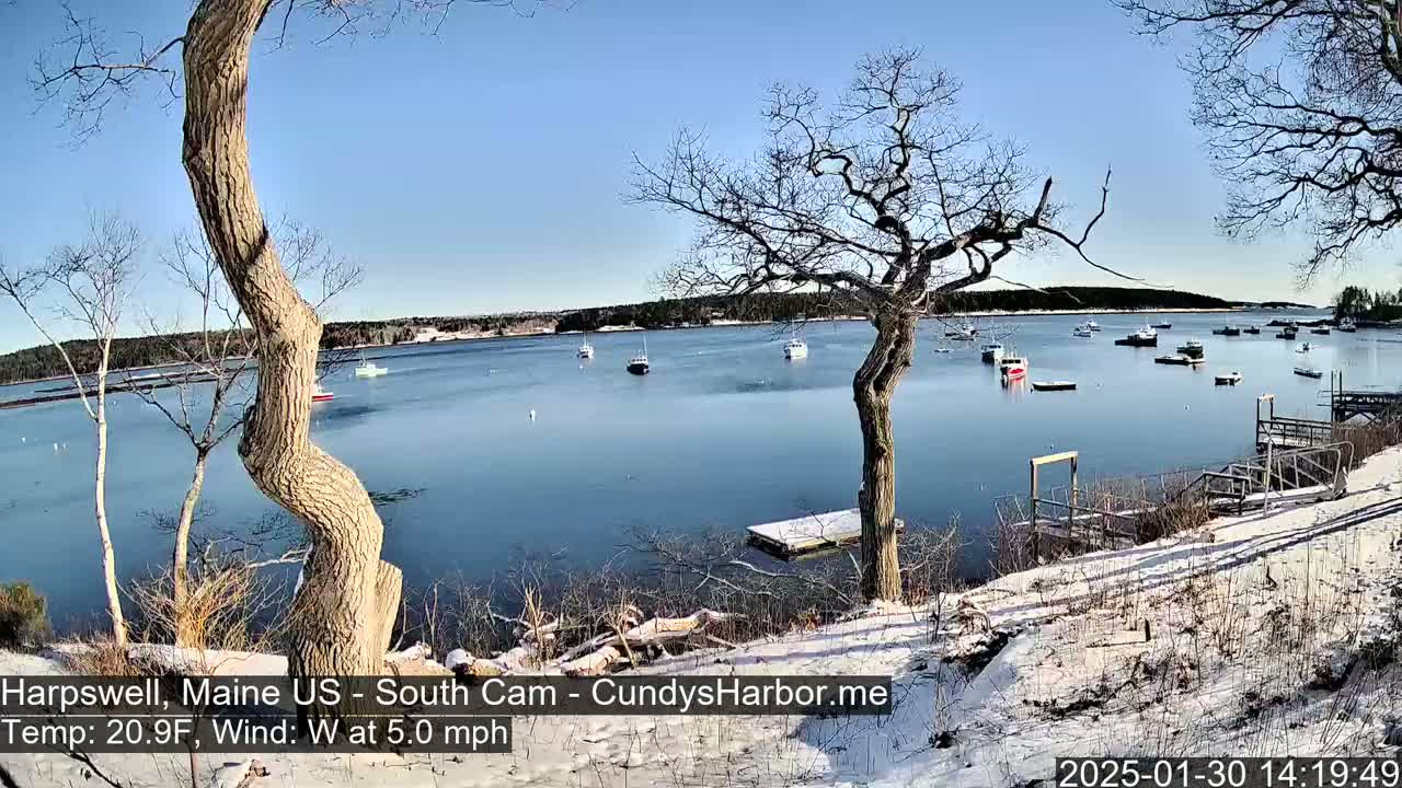 A snow-dusted shoreline with leafless trees overlooks a calm bay containing several small boats under a clear blue sky.