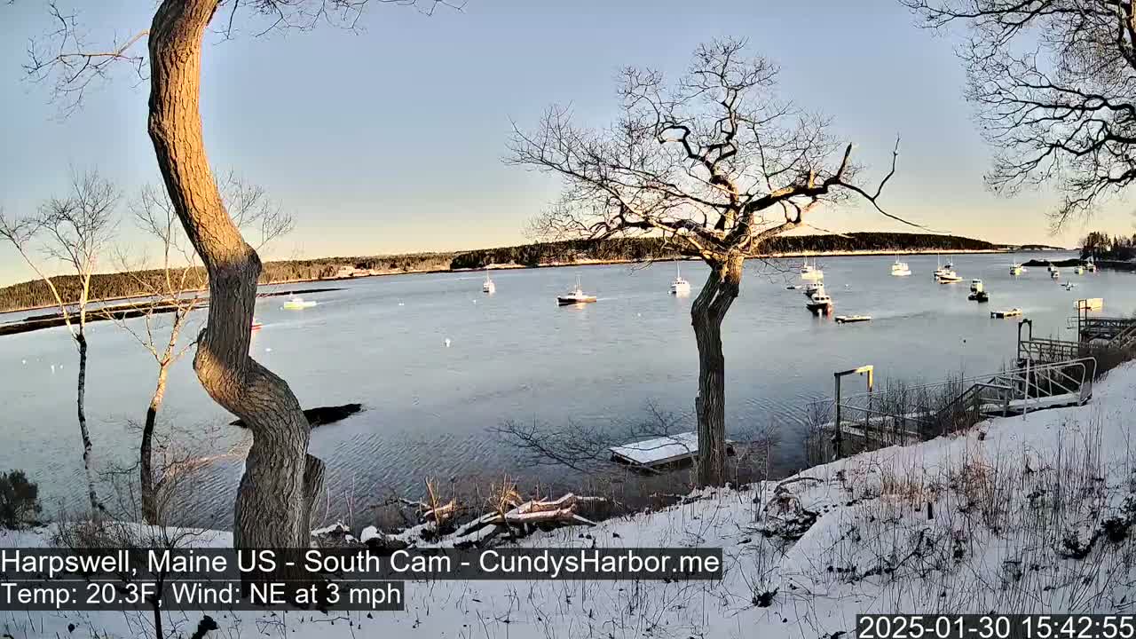 A snow-covered shoreline with leafless trees overlooks a calm bay containing several boats under a clear, light-blue sky.