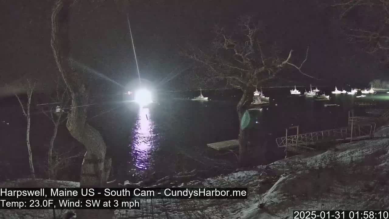 At night, several boats are moored in a calm body of water under a dark sky, viewed from a snow-covered shoreline with a bare tree in the foreground.