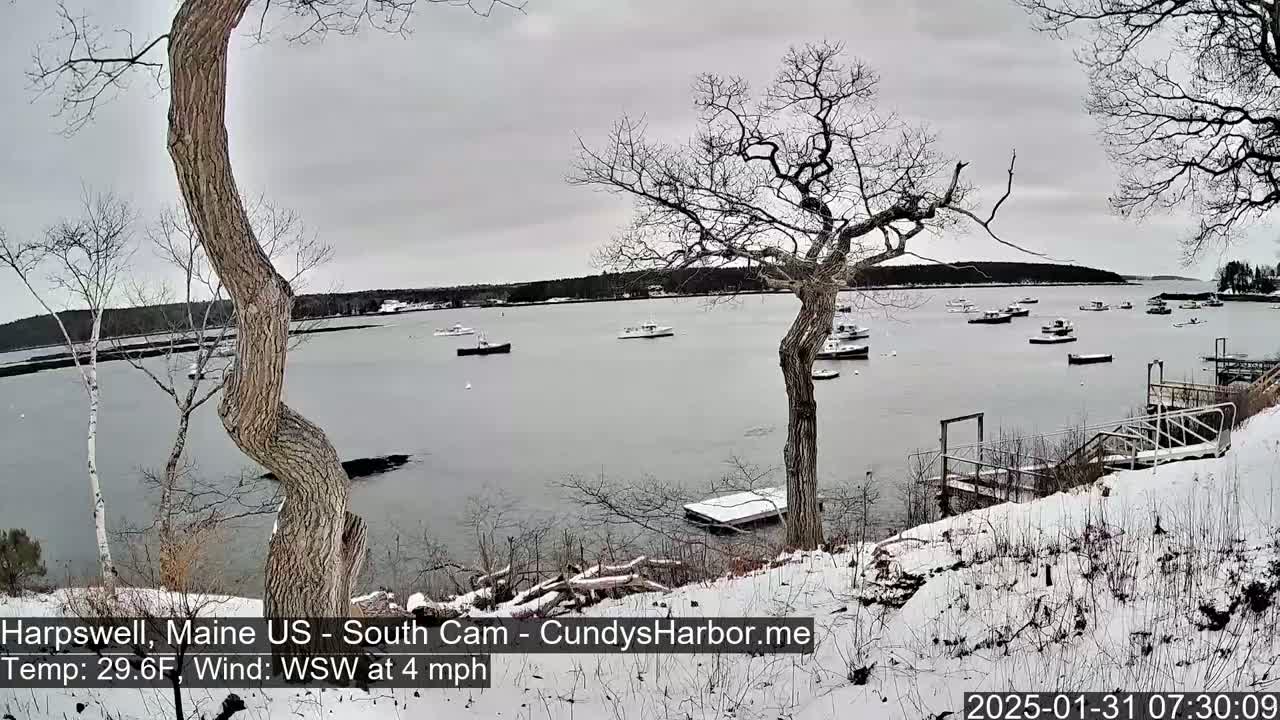 A snow-covered shoreline with several boats in a calm bay under an overcast sky.