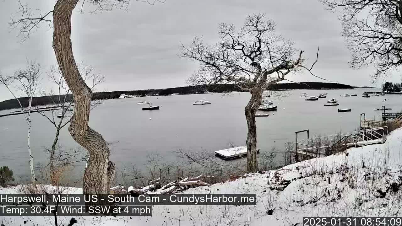 A snow-covered shoreline with bare trees overlooks a calm body of water containing several boats under an overcast sky.