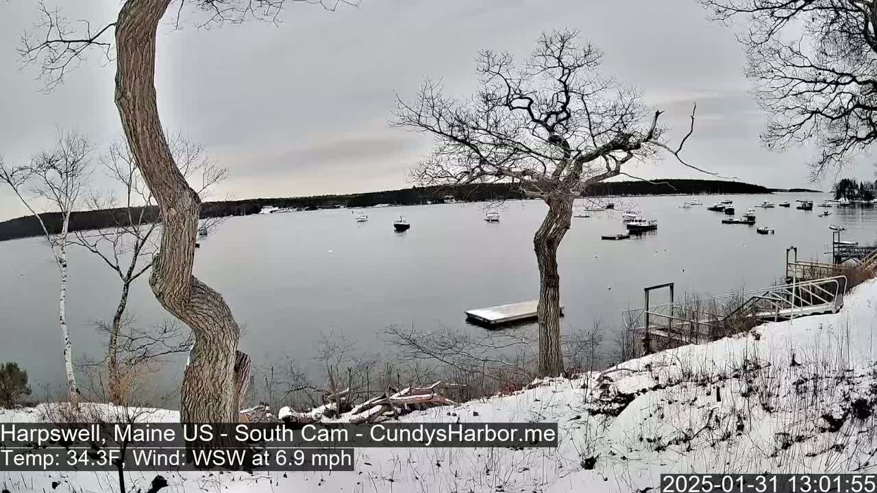 A snow-covered shoreline overlooks a calm bay with several boats, under an overcast sky.
