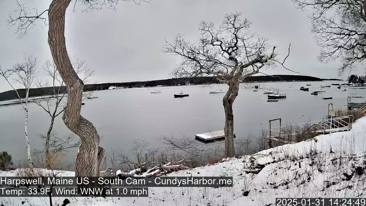 A snow-covered shoreline with several boats in a calm body of water under an overcast sky.