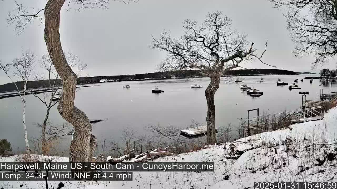 A snow-covered shoreline with bare trees overlooks a calm bay containing several small boats under an overcast sky.