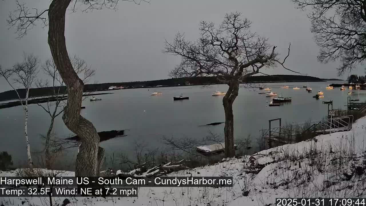 Several boats are moored in a calm harbor under a gray sky, with a light dusting of snow on the shoreline and bare trees.