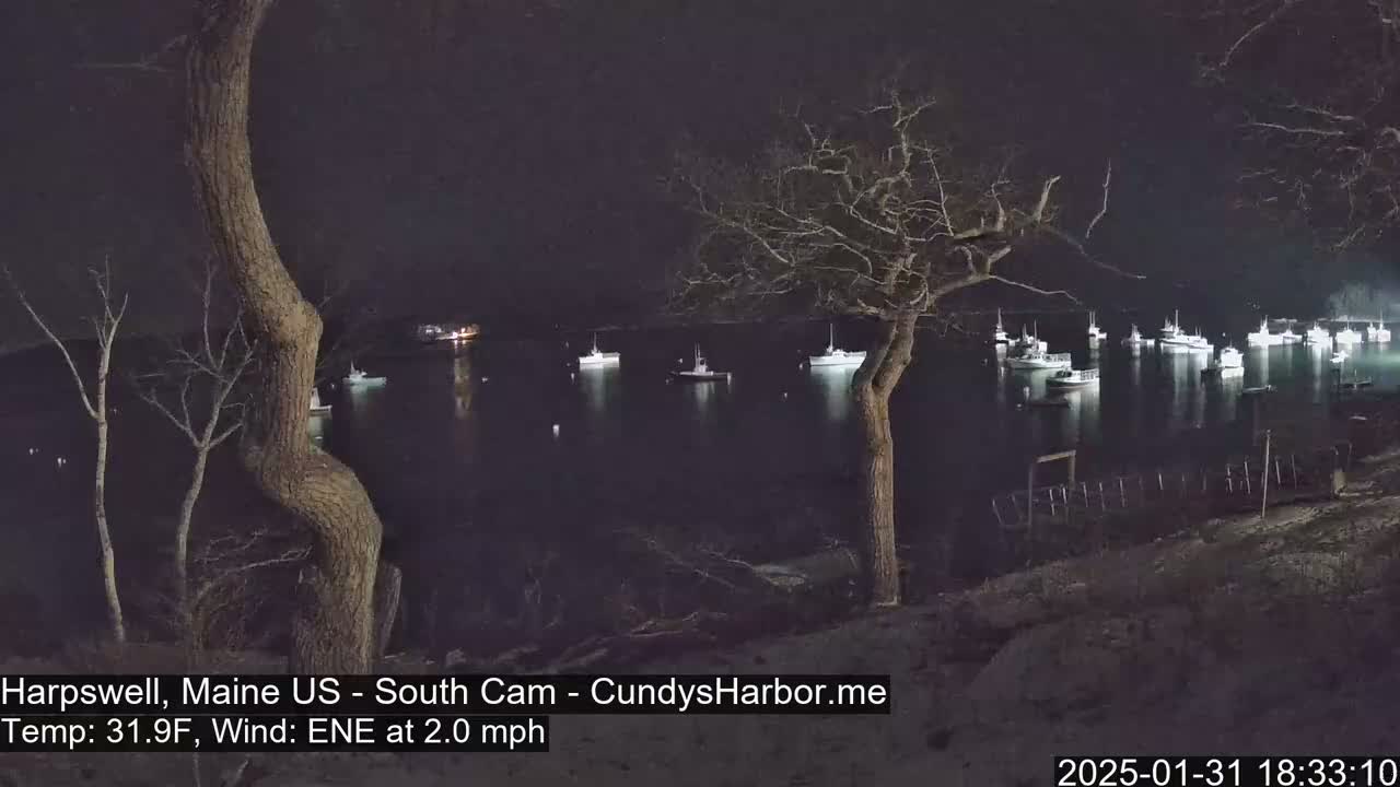 Many boats are moored in a calm, dark harbor at night under a clear sky.