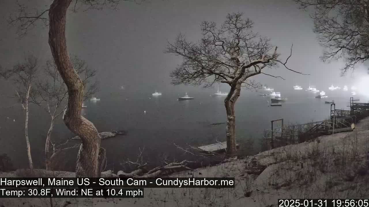 A snow-covered shoreline shows numerous boats in a calm harbor under a gray, overcast sky.