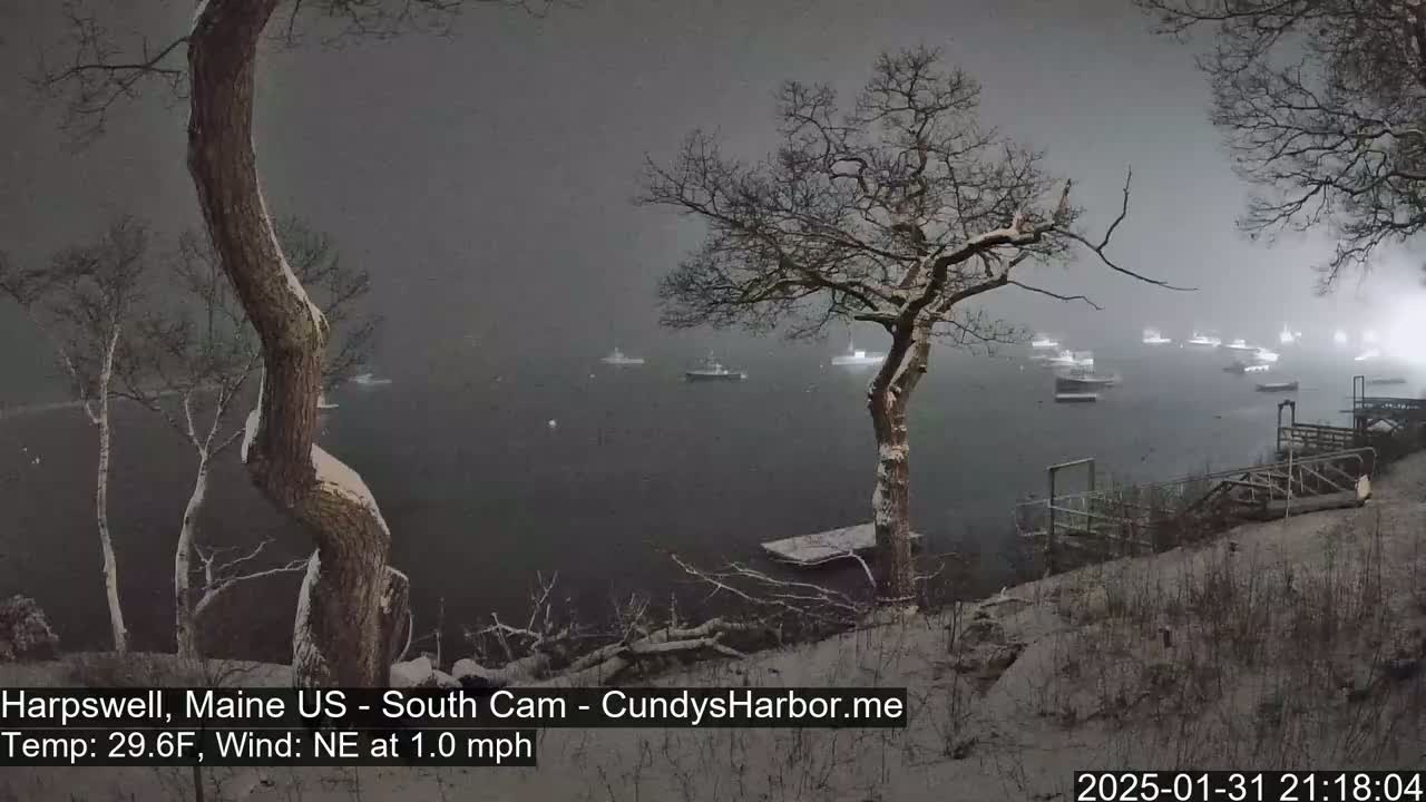 A snow-covered landscape shows a body of water with several boats, viewed from a snow-covered shoreline with leafless trees.
