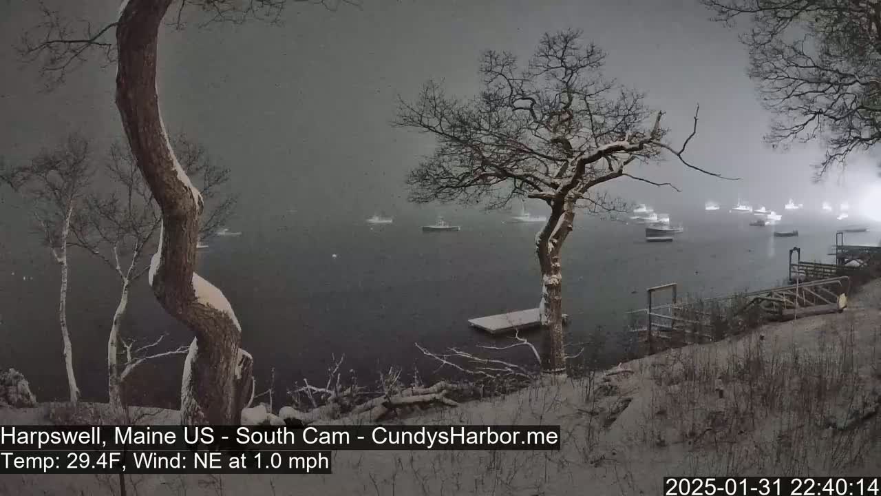 Snow falls on a dark, gray body of water where several boats are moored near a snow-covered shoreline with leafless trees and a small dock.