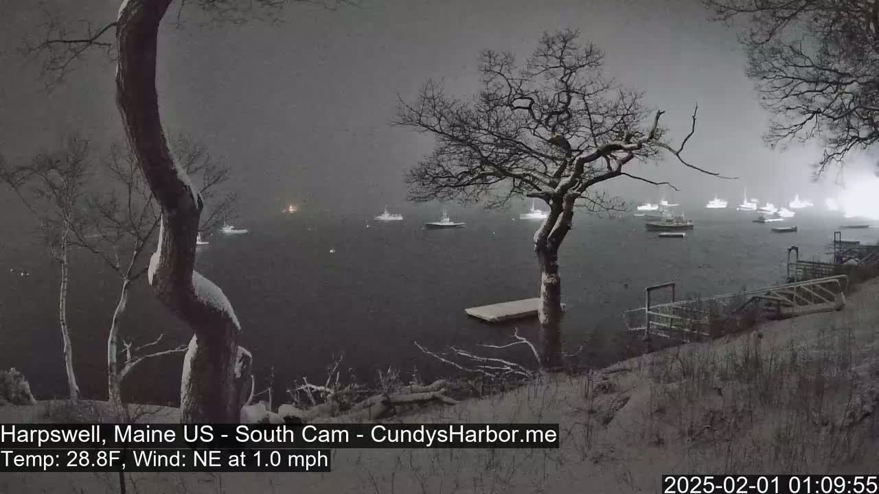 A snow-covered shoreline with bare trees overlooks a calm body of water where several boats are moored under a nighttime snowfall.