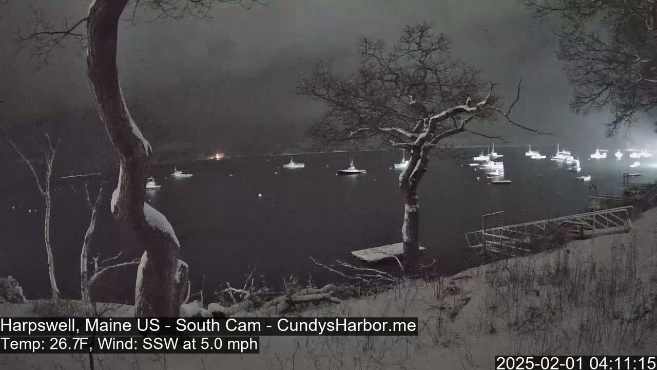 A snow-covered landscape overlooks a harbor with numerous boats at night, under a dark sky with a light snowfall.