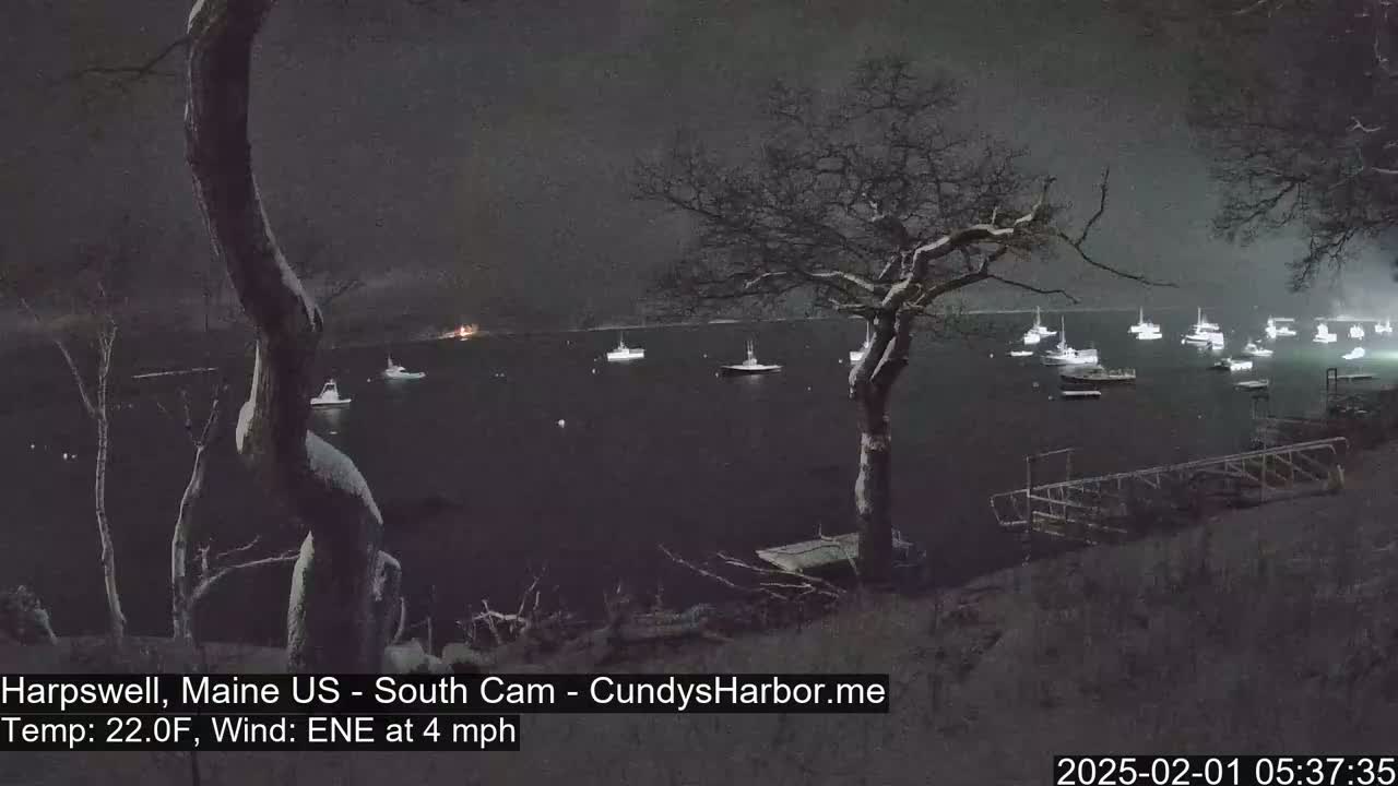 A snow-covered landscape at night shows numerous boats in a dark harbor under a lightly falling snow.