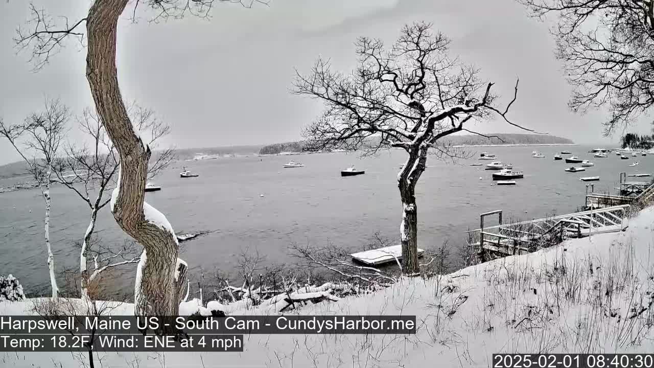 A snow-covered shoreline with several boats in a calm body of water under an overcast sky.