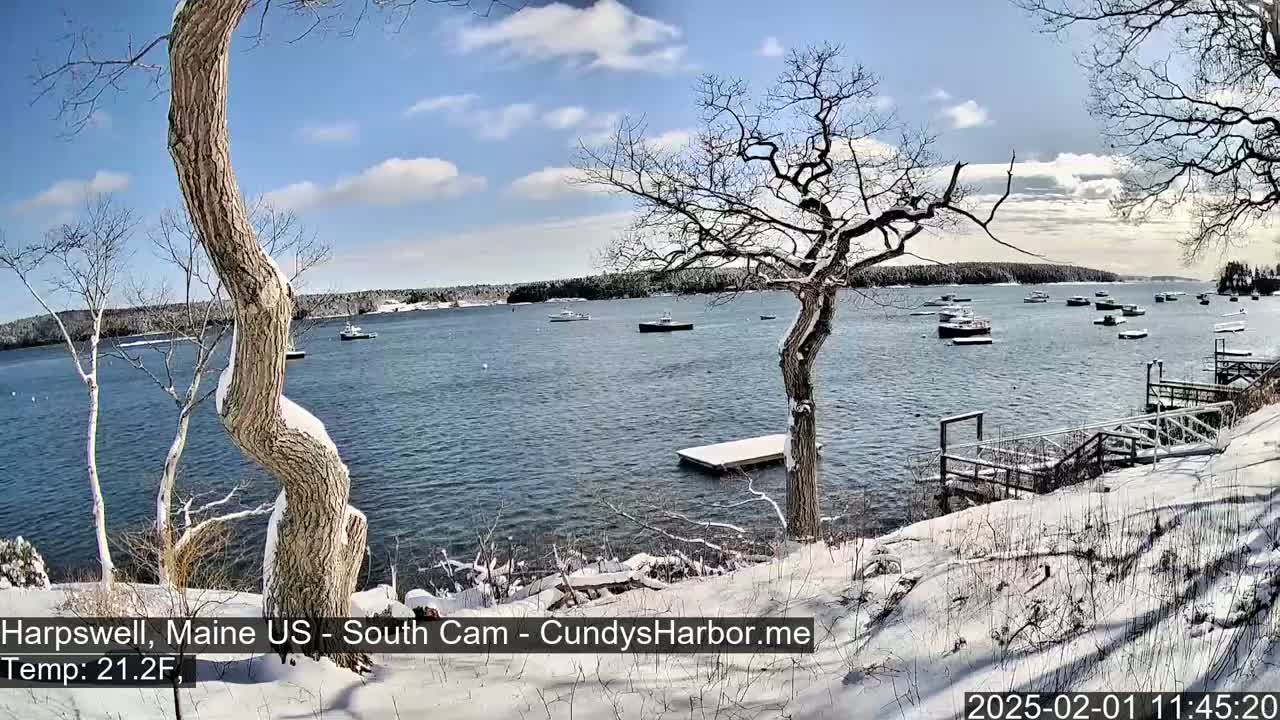 A snow-covered shoreline with leafless trees overlooks a calm bay containing several small boats under a partly sunny sky.