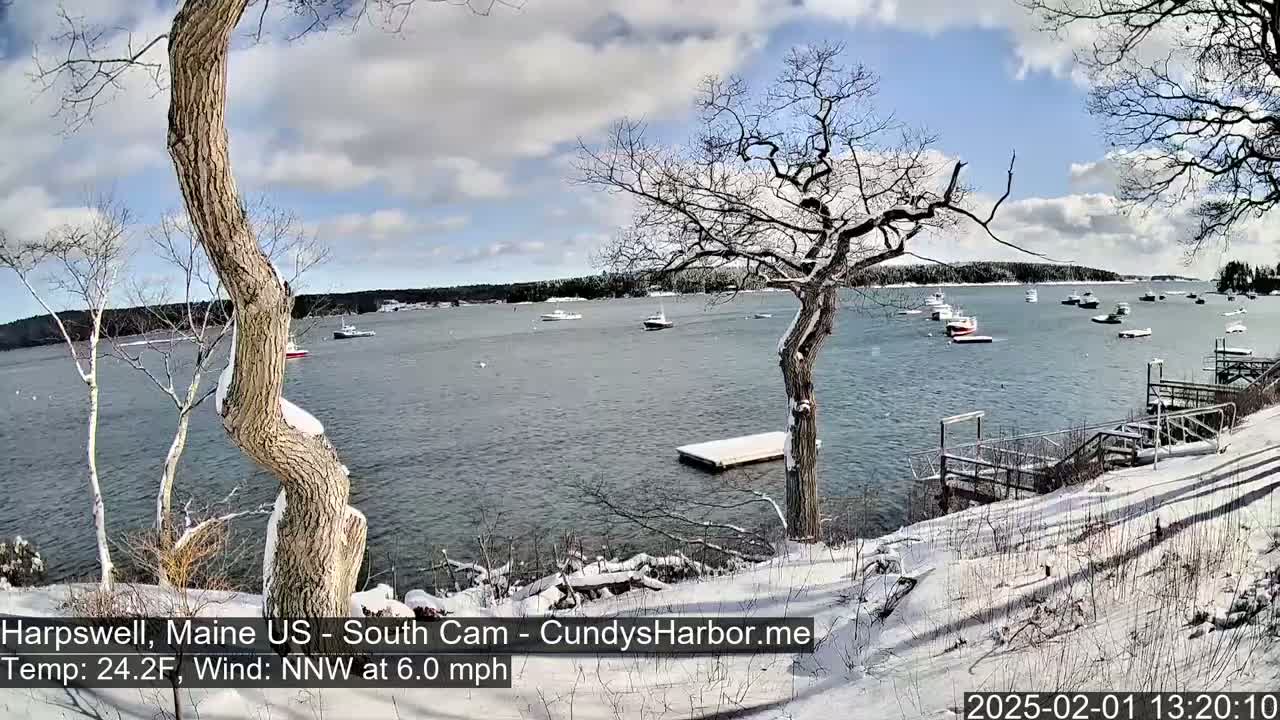A snow-covered shoreline with leafless trees overlooks a calm bay containing several boats under a partly cloudy sky.