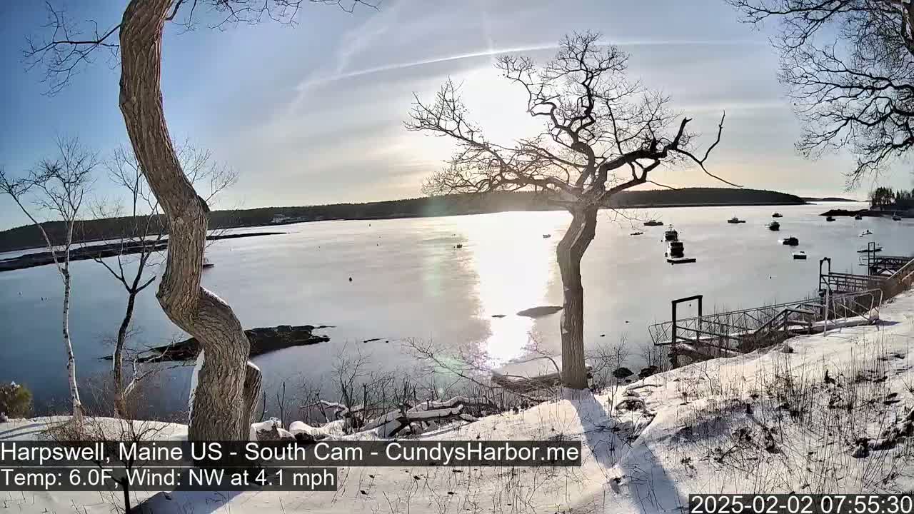 A snow-covered shoreline with bare trees overlooks a calm bay containing several boats under a sunny sky.