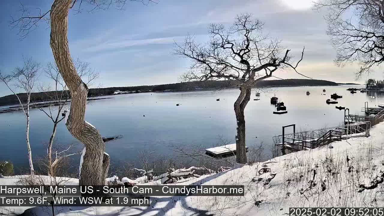 A snow-covered shoreline with leafless trees overlooks a calm bay containing several small boats under a mostly sunny sky.